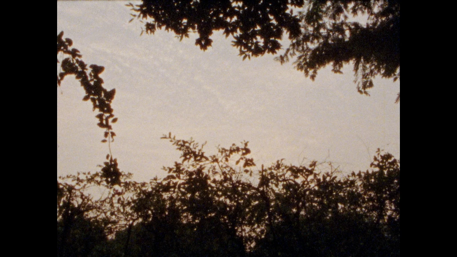 from time without beginning