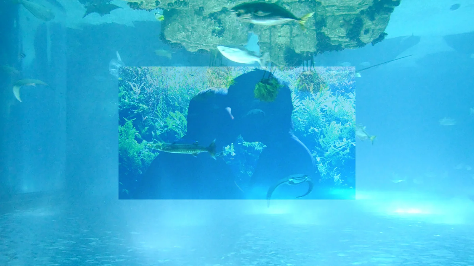 Reality Fragment 160921 