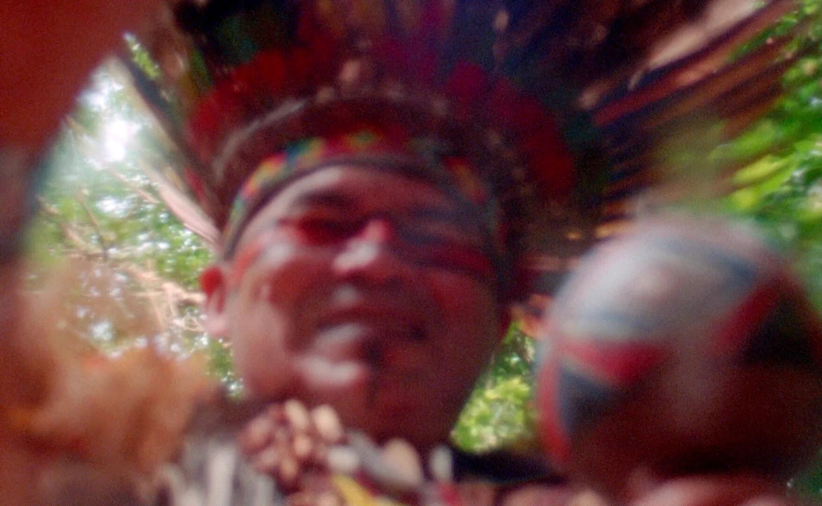 Metamorphosis' Chantings Or That Time When I Incarnated As Porpoise