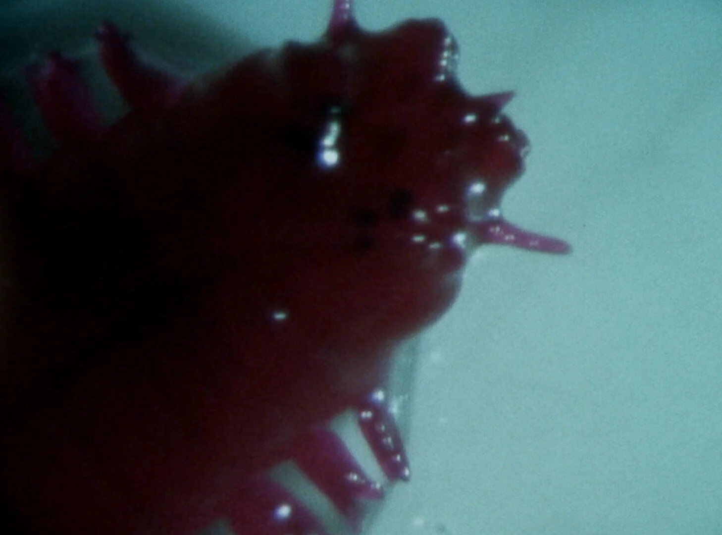 Does the Sea Have a Heart?