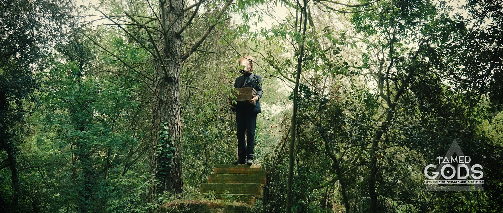 Tamed Gods: The Origins of Abundance