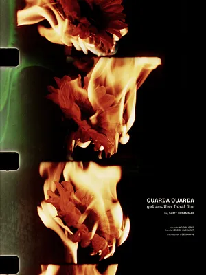 ouarda ouarda: yet another flower film 