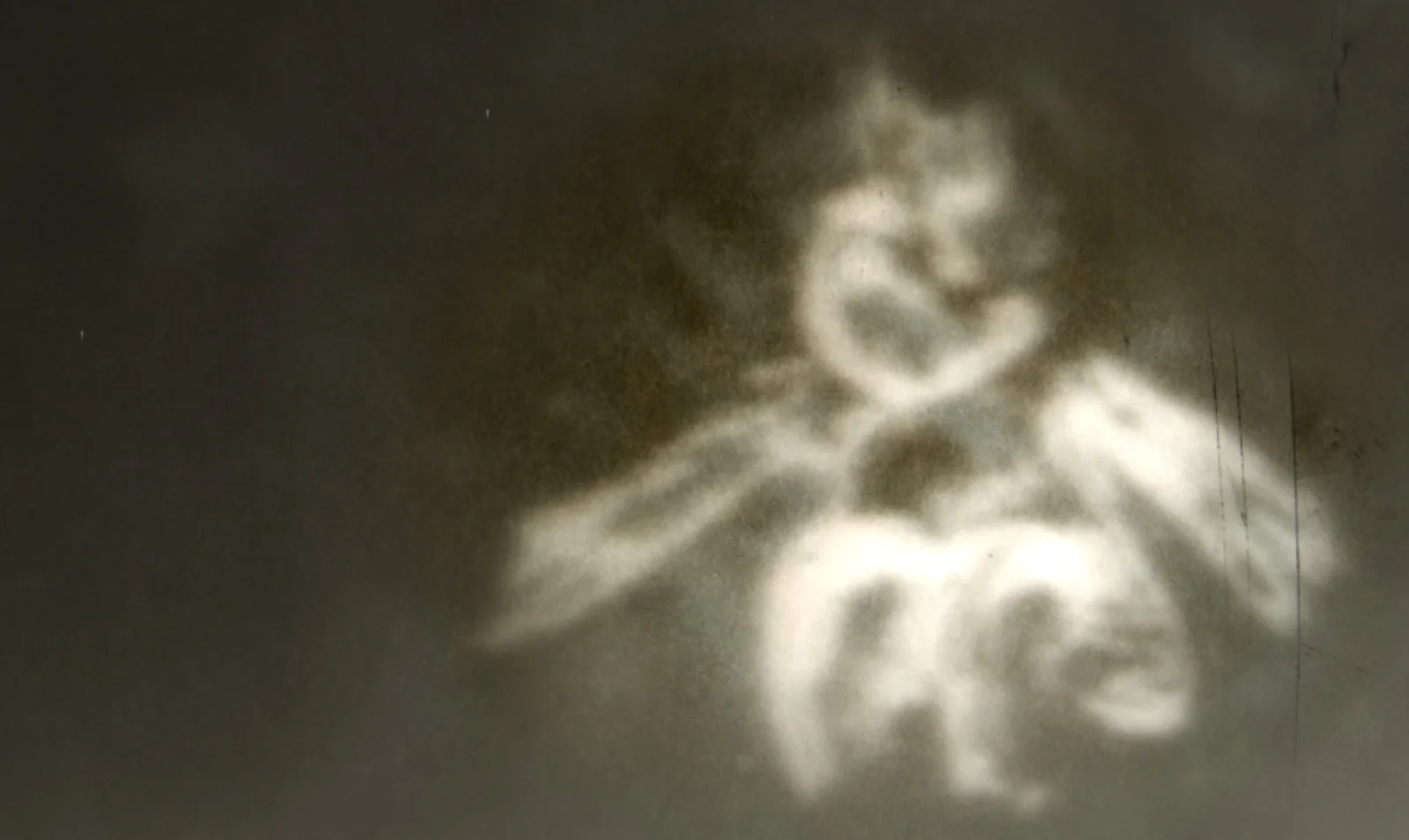 Queenie and the All or Nothing Thin King