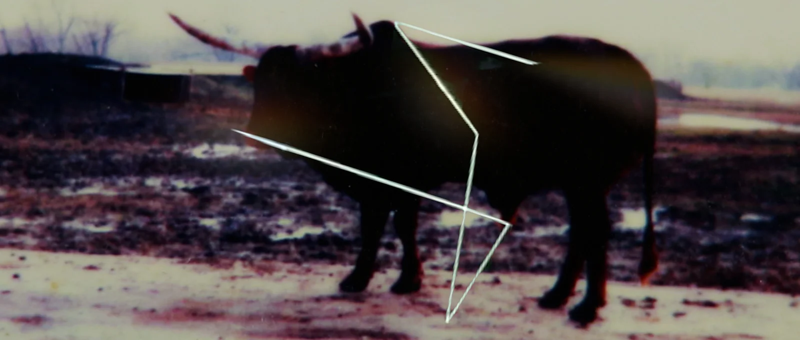 the first memory with you