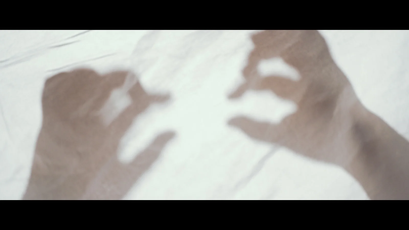 Iva Bedlam/ Shiner Dogma