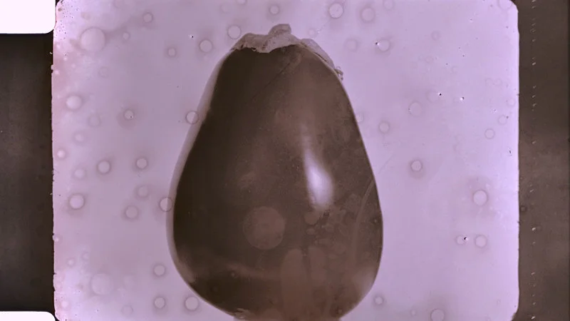 Anthology For Fruits and Vegetables