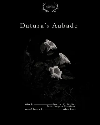 Datura's Aubade