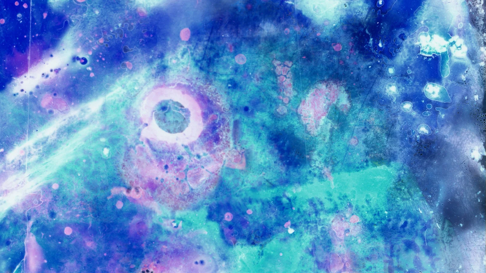 The last day of the luna moth