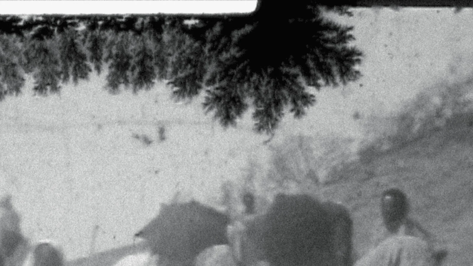 A Companion for Amateur Cinematographers: Vol. I