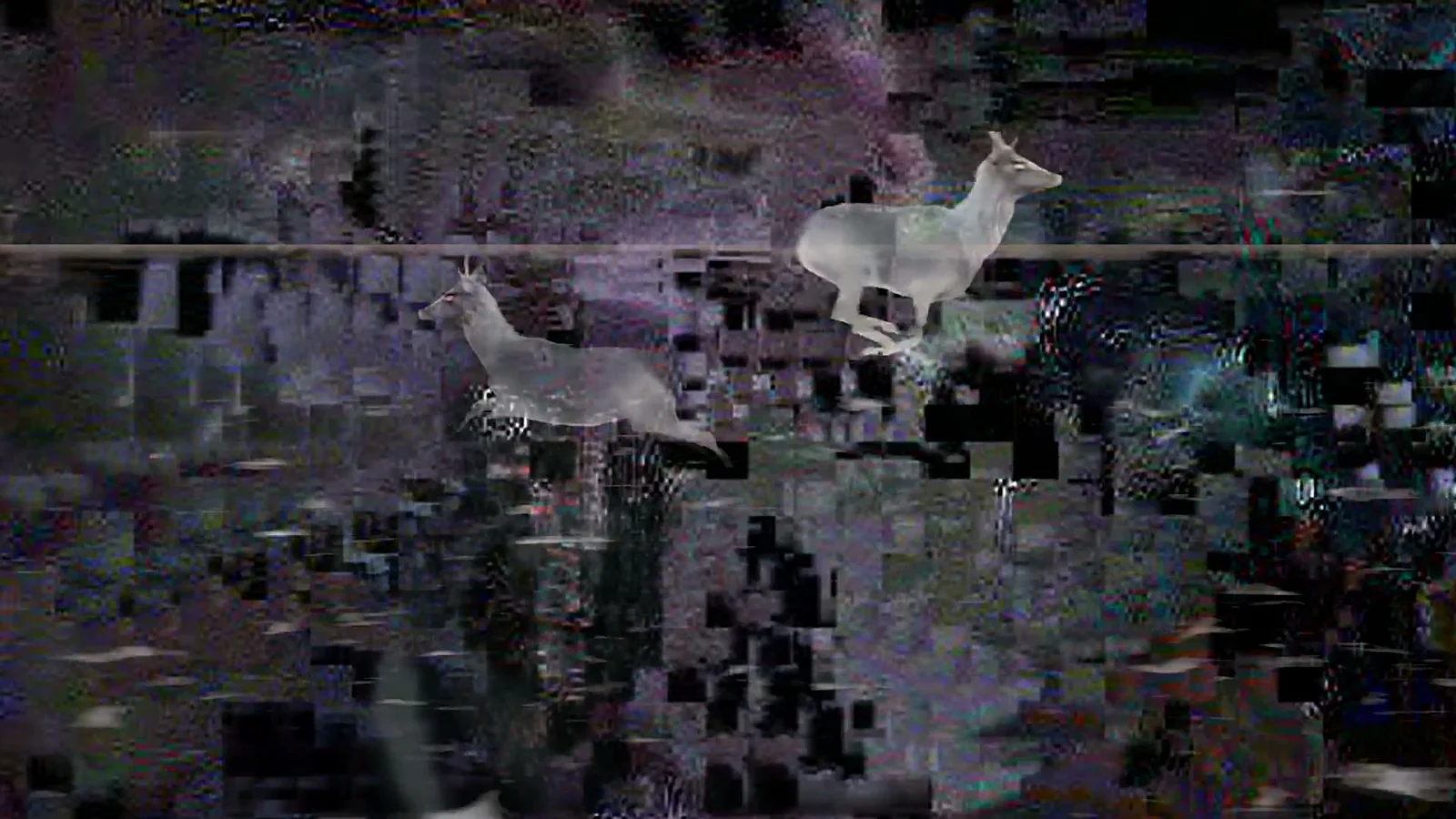 Where the Truth Lies