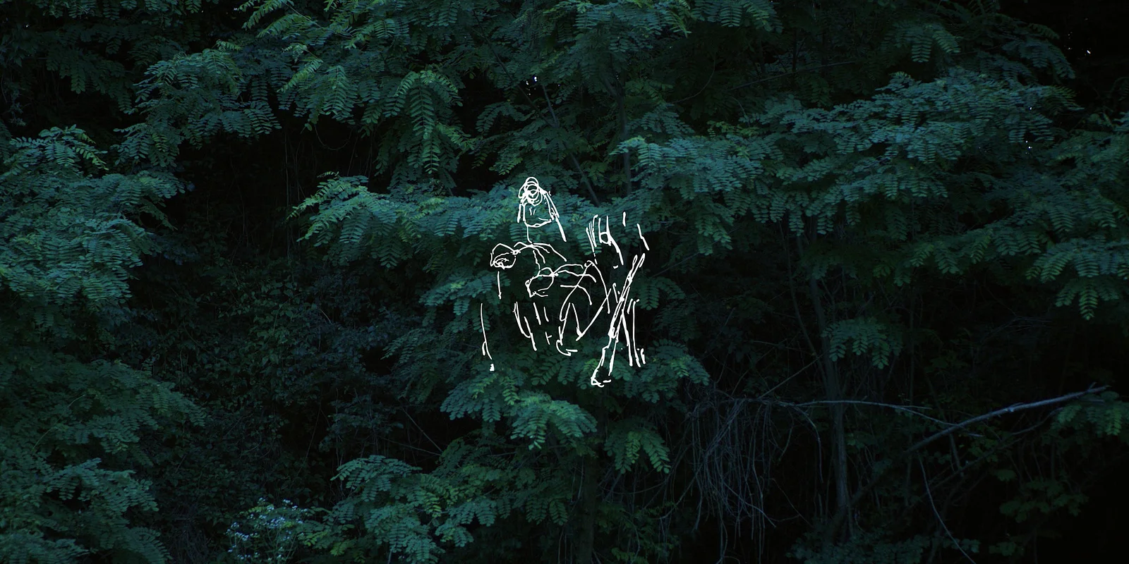 Landscapes of Resistance