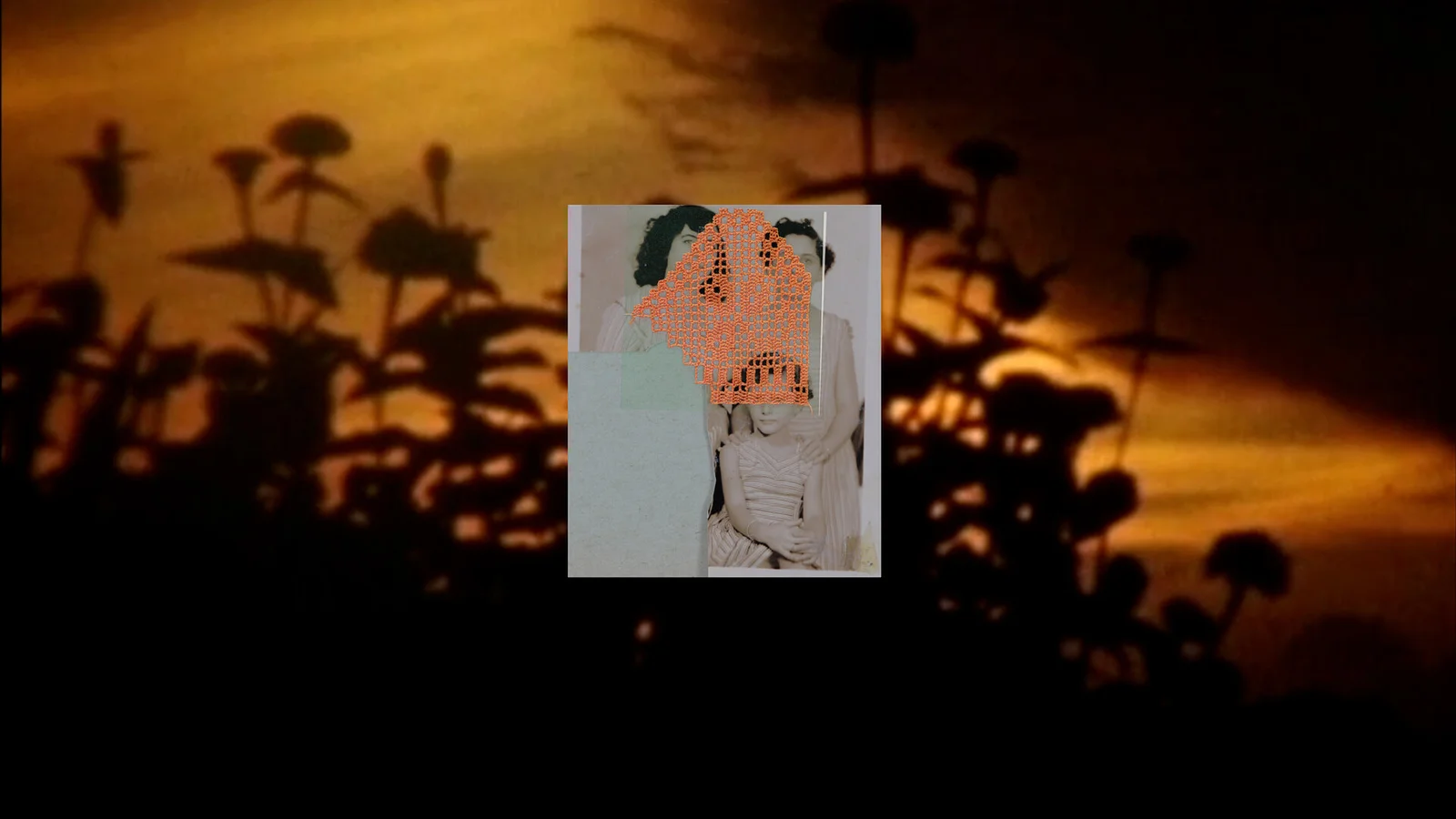 Between Delicate and Violent