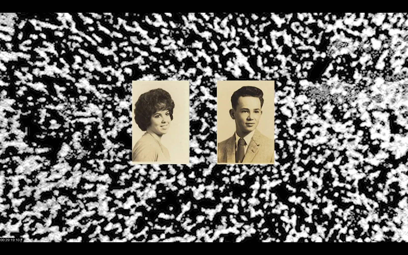 The Mechanics of Fluids