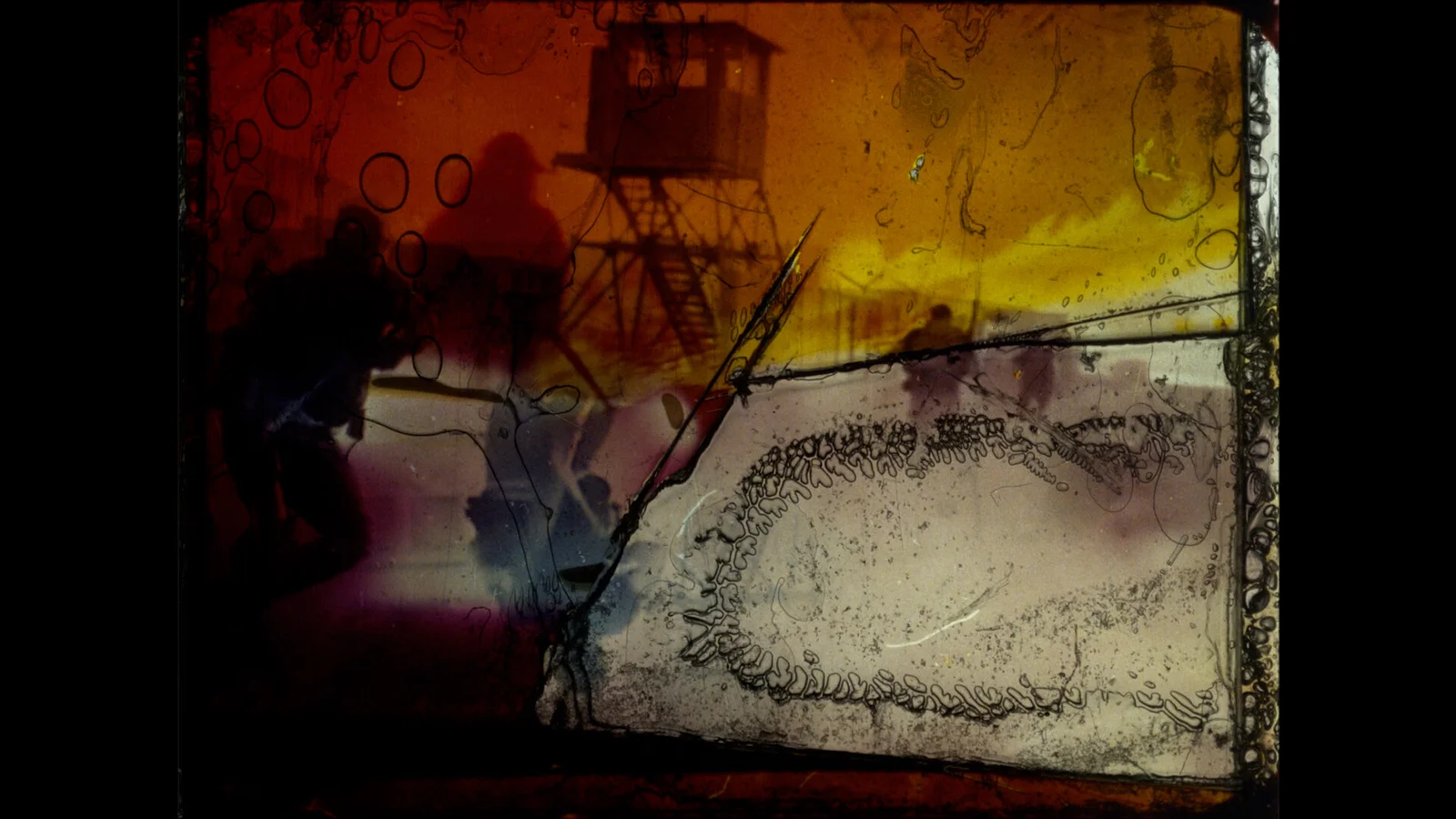 History Will Teach Us Nothing