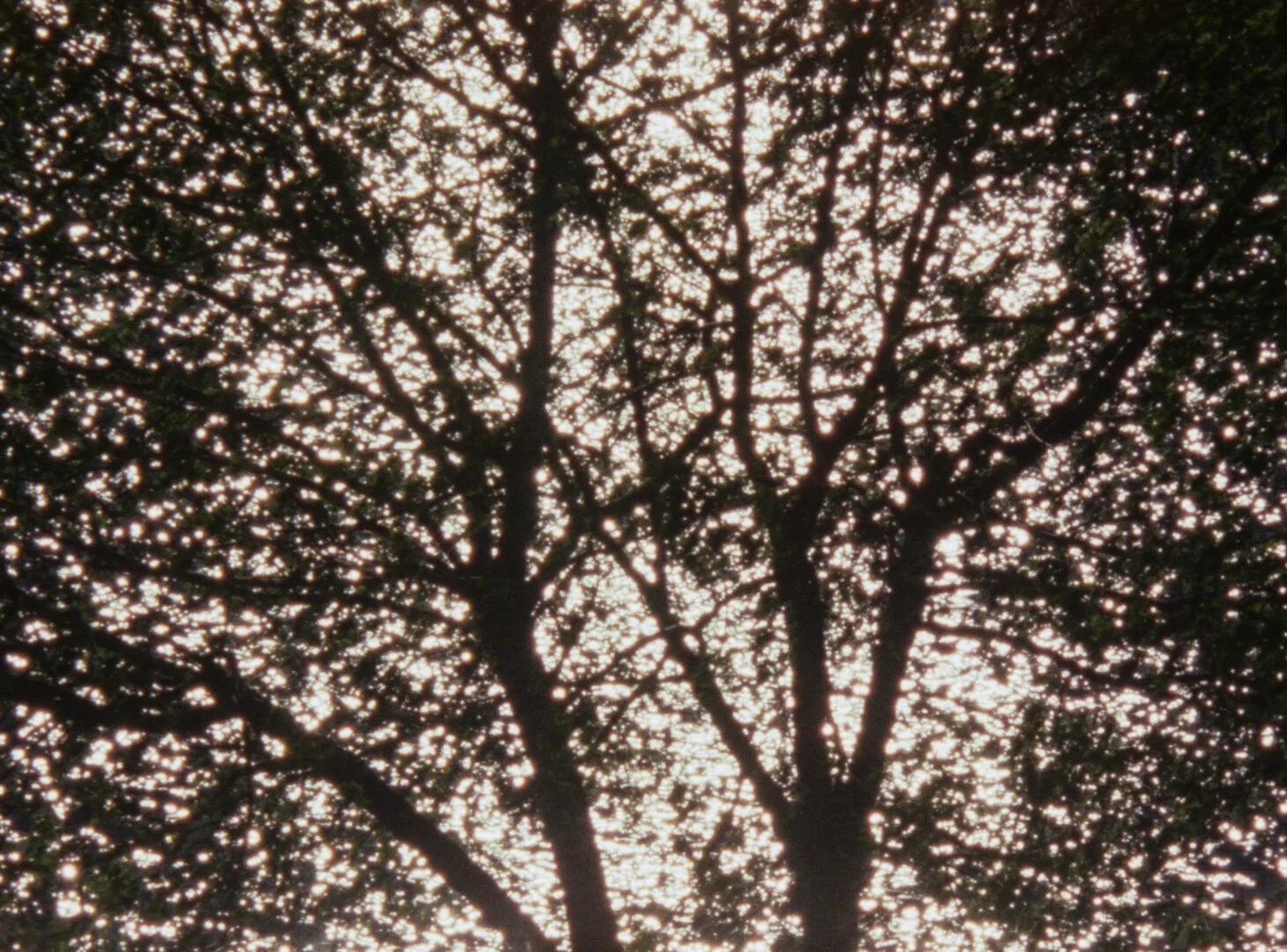 A Slippage in Five Movements