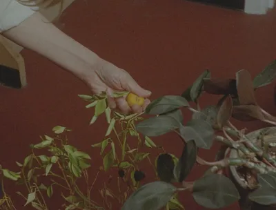 Barefoot Birthdays on Unbreakable Glass 