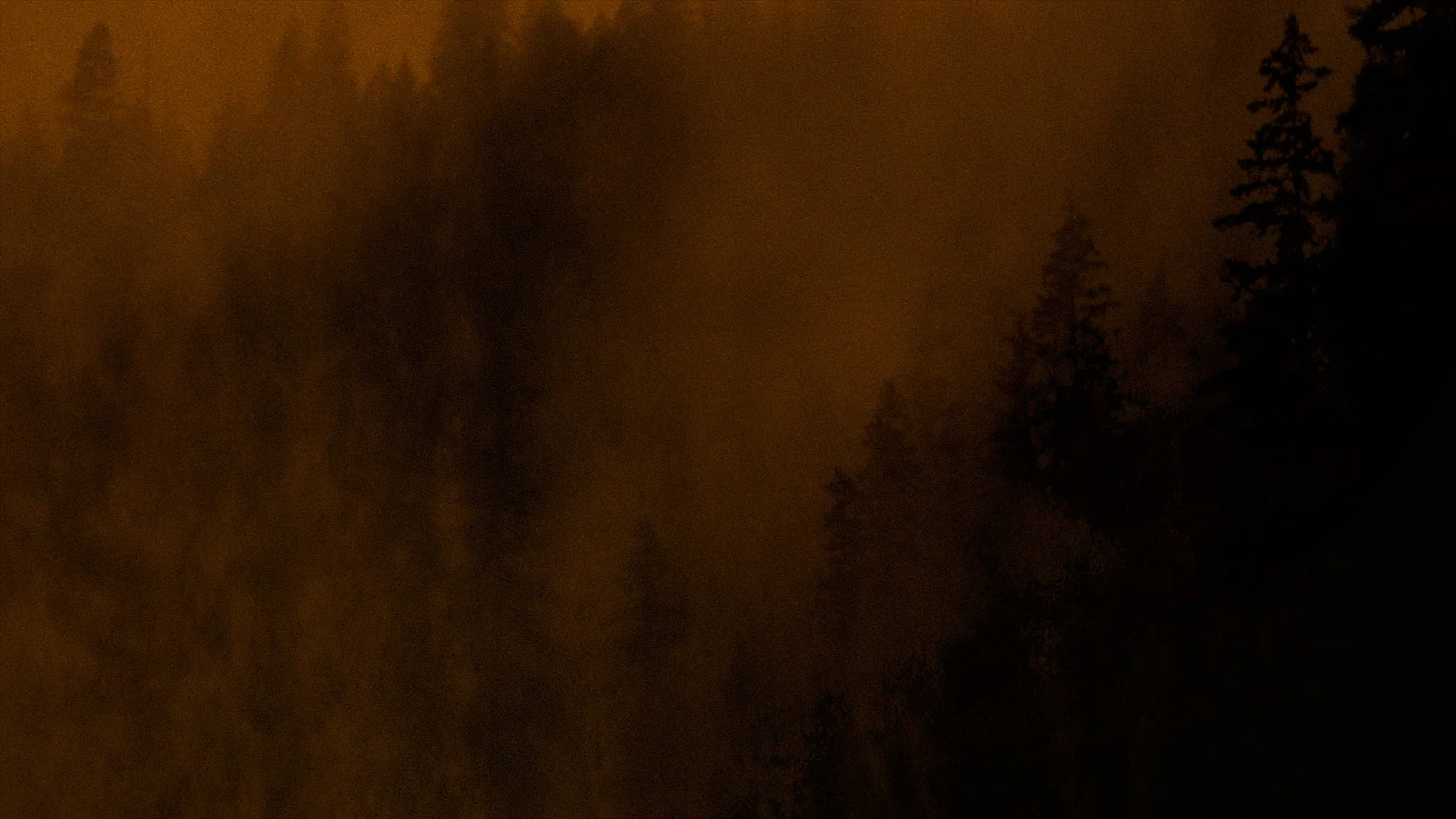 Treading Night Ocean