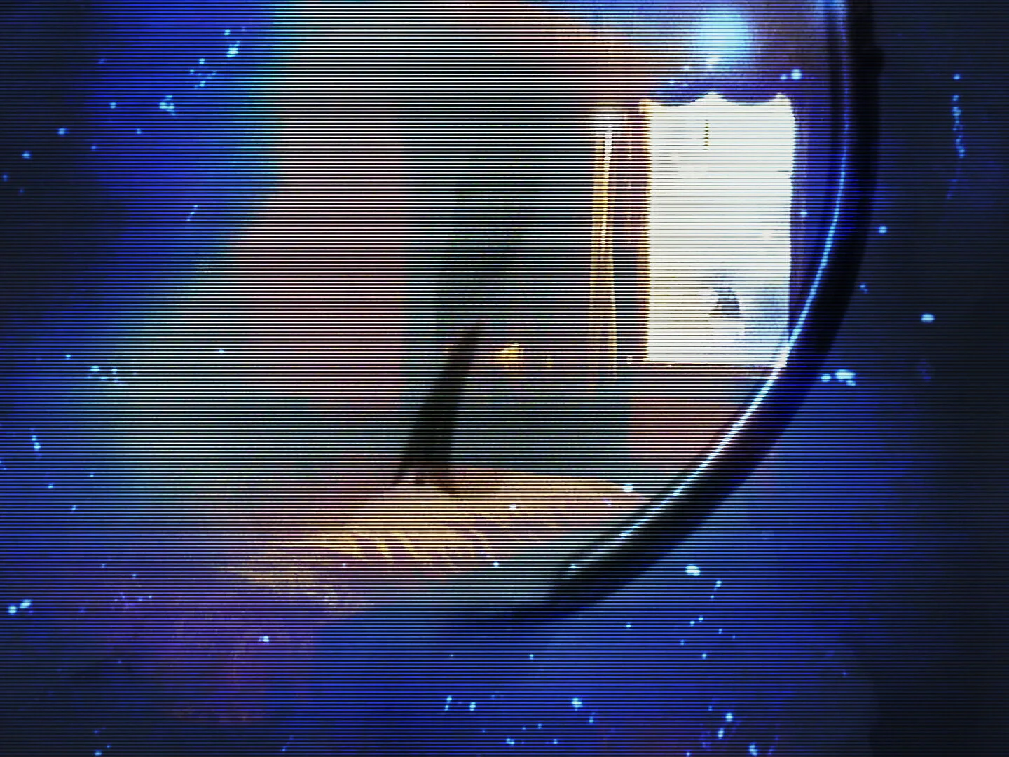 the house was there before me