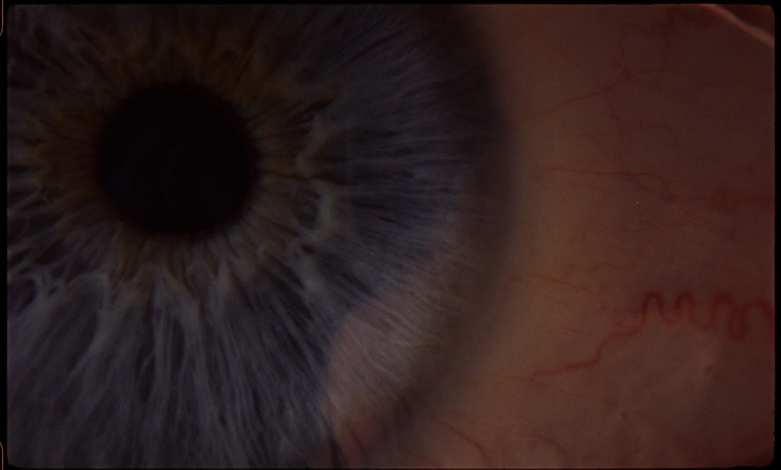 The Bearers of Memories 