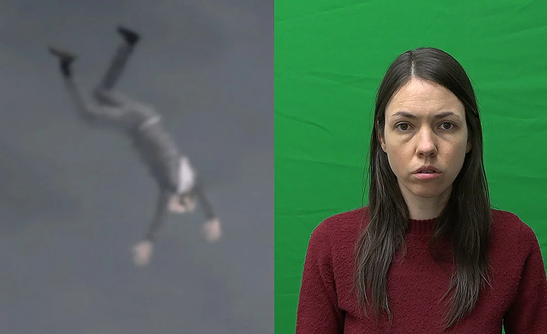 Alice's Four Stories