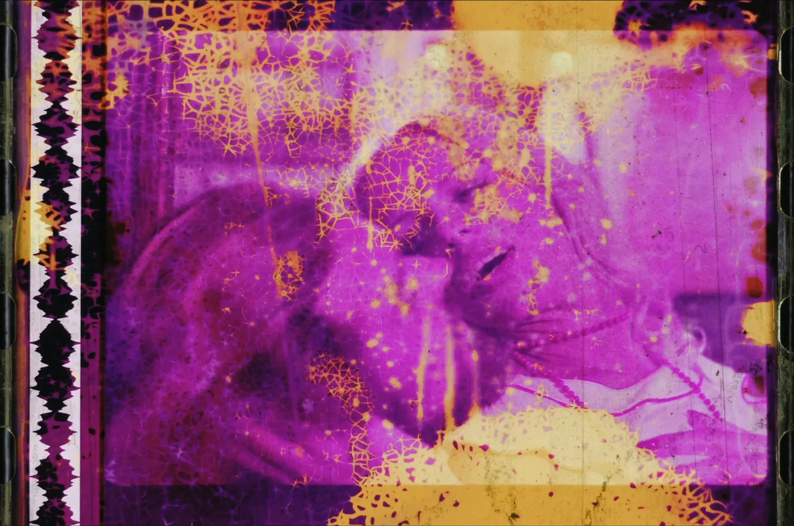 the Garden of Delight