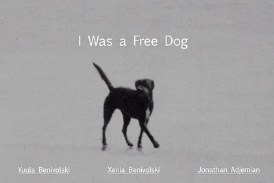 I Was a Free Dog