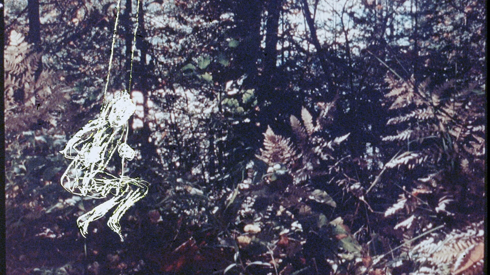 The Dissolution of the Landscape