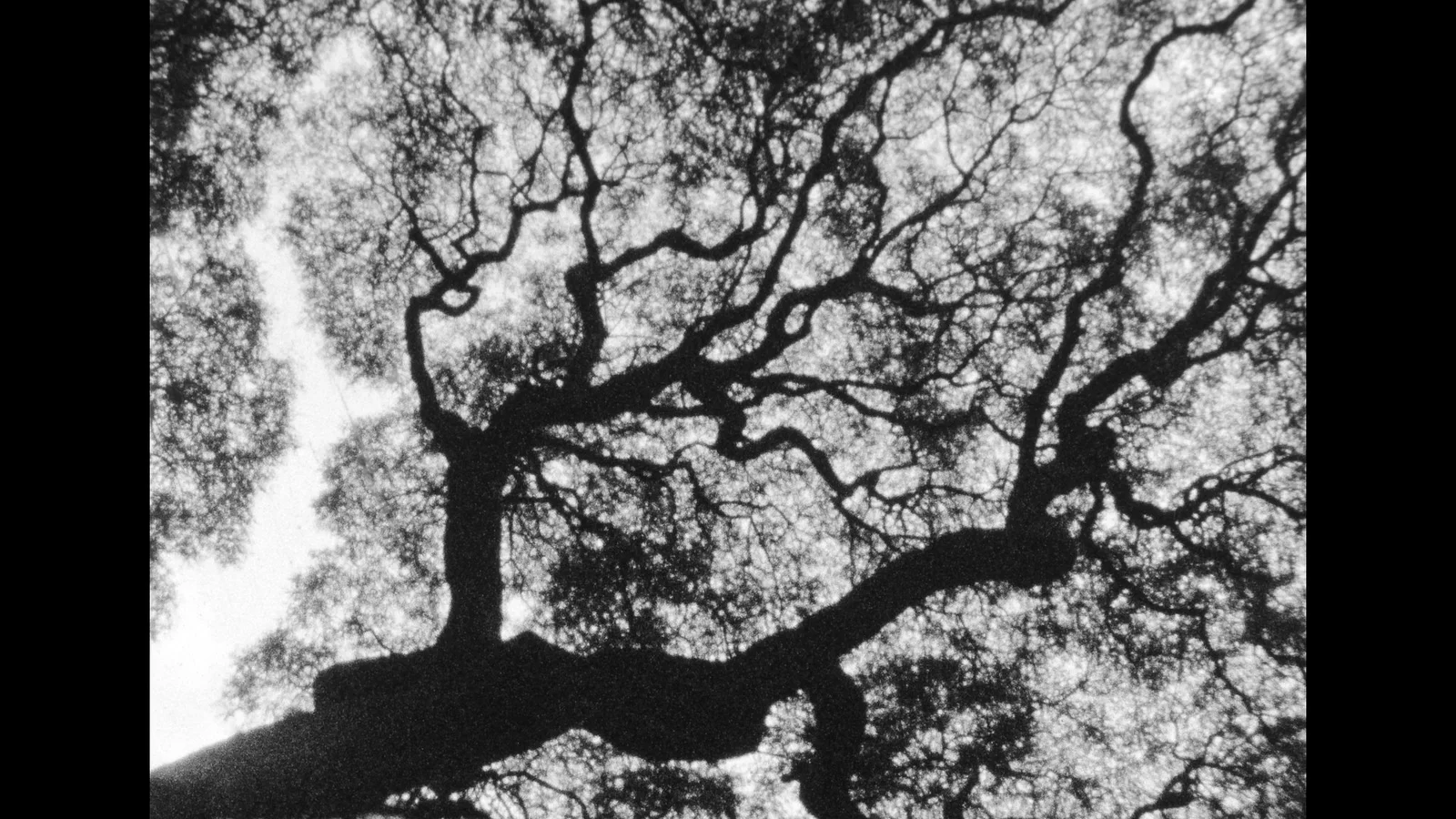 The Root of Lightweight