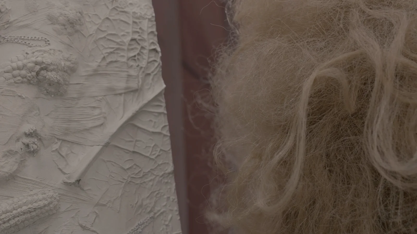 She Who Passes Through Time