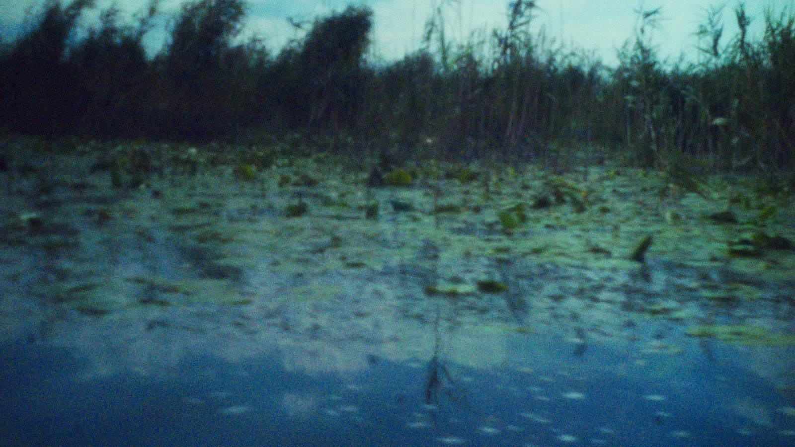 Women Minor Speculations