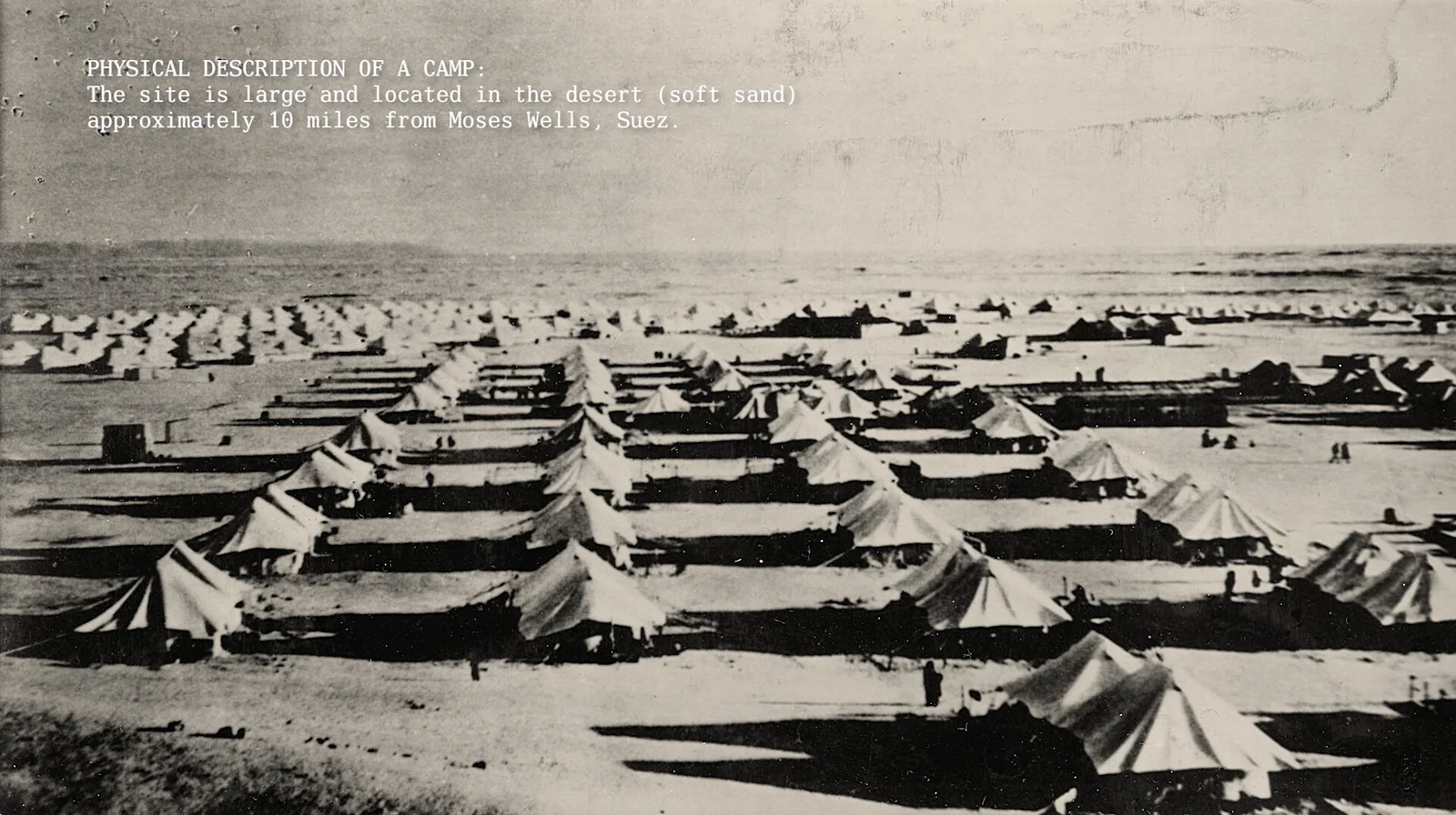 Chasing the Sun: El Shatt